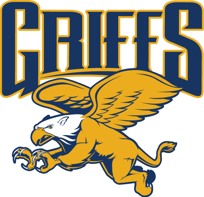 Canisius Golden Griffins 2006-Pres Alternate Logo v2 diy fabric transfer`